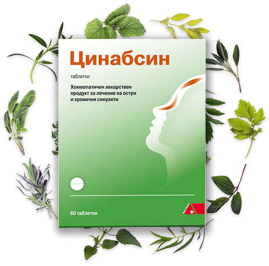 DHU Цинабсин при синузит х 60 таблетки
