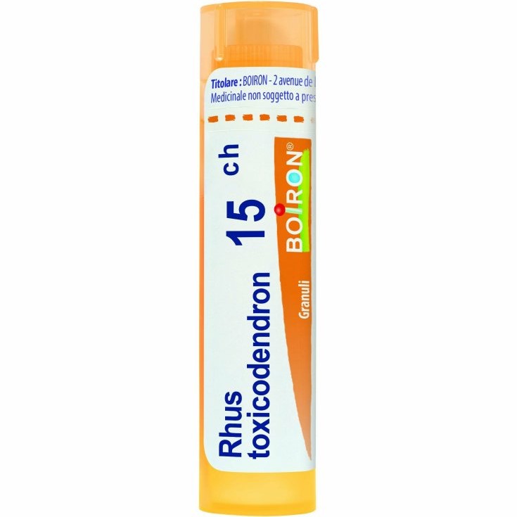 Rhus Toxicodendron 15 CH
