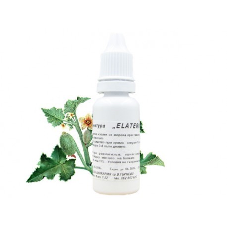 Морска краставичка - тинктура