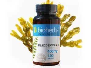 Bioherba / Биохерба Мехурчесто водораско 400мг х 100 капс
