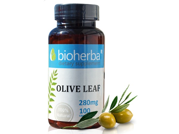 Bioherba / Биохерба Маслина лист 280мг х 100капс