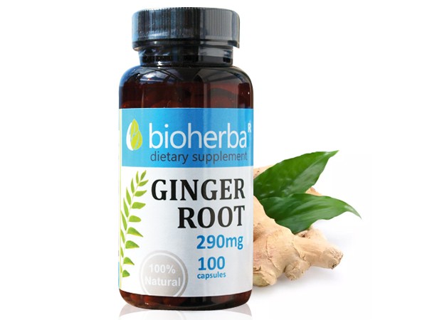 Bioherba / Биохерба Джинжифил 290мг х 100капс