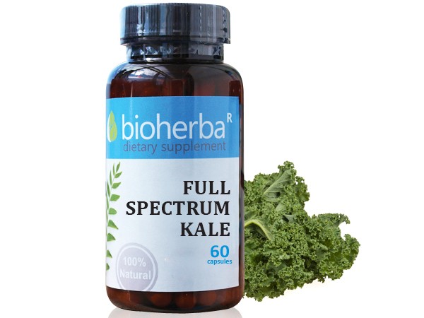 Bioherba / Биохерба FULL SPECTRUM KALE / КЕЙЛ 60 капс