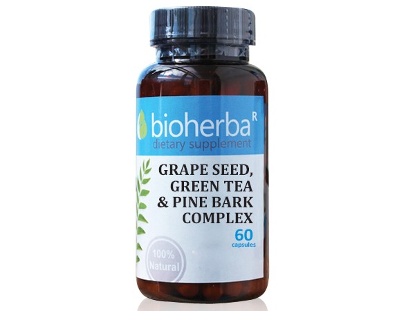 Bioherba / Биохерба ГРОЗДОВИ СЕМEНА ЗЕЛЕН ЧАЙ И БОРОВА КОРА 60 капс