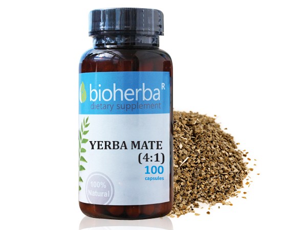 Bioherba / Биохерба YERBA MATE (4:1) / ЙЕРБА МАТЕ 4:1 100 КАПС