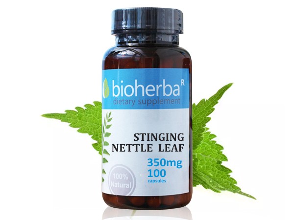 Bioherba / Биохерба КОПРИВА 350МГ X 100 КАПС