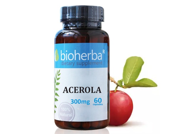 Bioherba / Биохерба  Ацерола 300мг 60капс