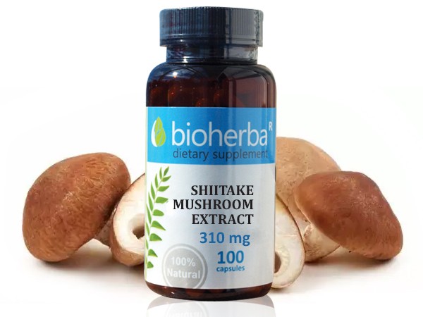 Bioherba / Биохерба Гъба шийтаке екстрат 310 мг  100 капс