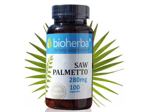 Bioherba / Биохерба Caо Палмето, 100 капс. 280мг