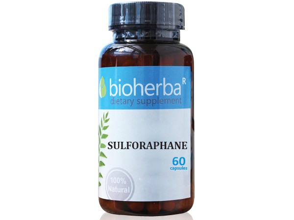 Bioherba / Биохерба Сулфорафан от броколи 60 капс.