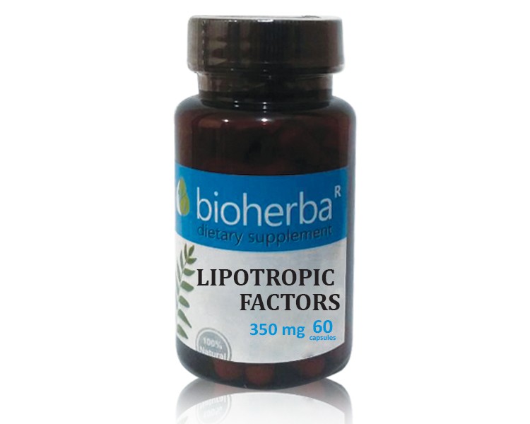 Bioherba / Биохерба Липотропни фактори 350мг. 60 капс.