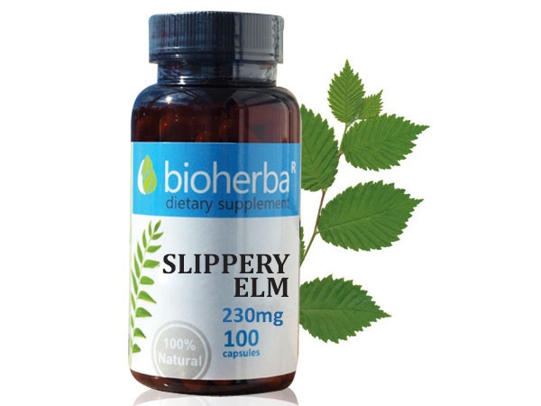 Bioherba / Биохерба Червен бряст (кора), Биохерба, 100 капс. 230мг