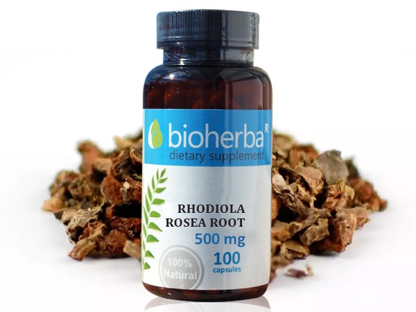 Bioherba / Биохерба Златен корен 500мг. 100капс.