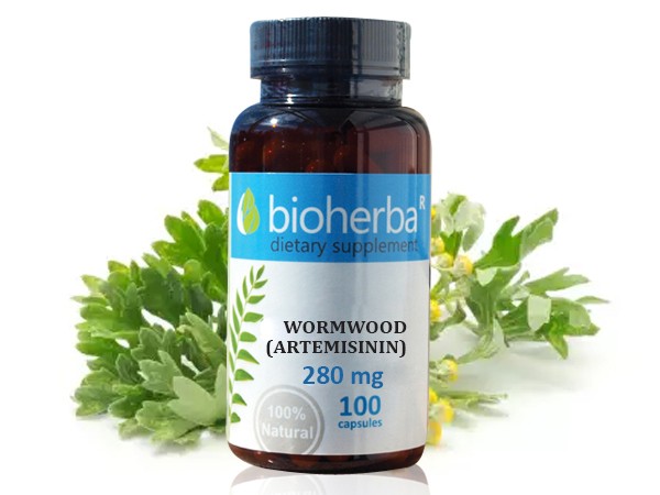 Bioherba / Биохерба Сладък Пелин 280мг. 100капс.