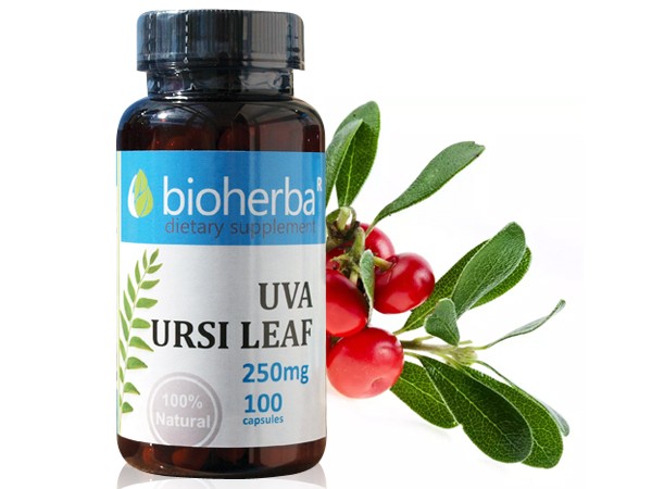 Bioherba / Биохерба Мечо Грозде, 100 капс. 250 мг