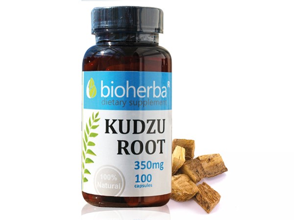 Bioherba / Биохерба Кудзу Корен 100 капс. 350мг.
