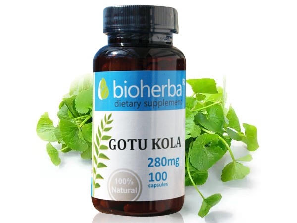 Bioherba / Биохерба Готу Кола, 100 капс. 280мг