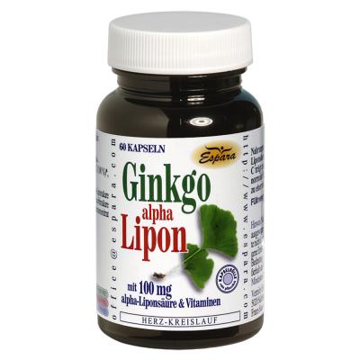 Гинко + Алфалипоева киселина капсули х 60