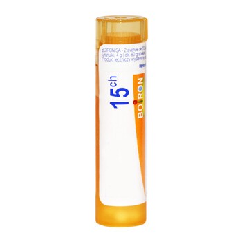 Kalmia latifolia 15ch