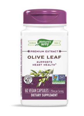 Olive Leaf / Маслина (лист) 430 mg x 60 капсули