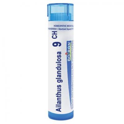 Ailanthus Glandulosa 9 CH