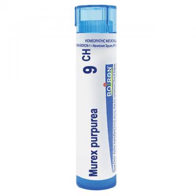Murex Purpurea 9 CH