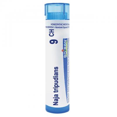 Naja Tripudians 9 CH