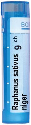 Raphanus Sativus niger 9 CH
