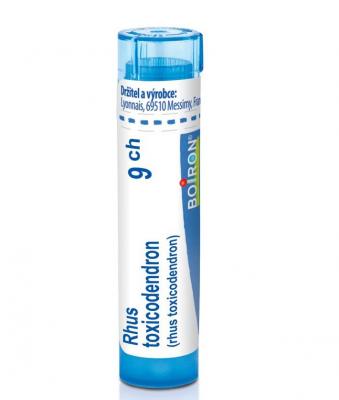 Rhus Toxicodendron 9 CH