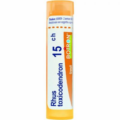 Rhus Toxicodendron 15 CH