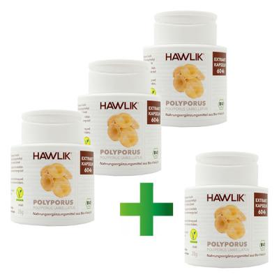 Хавлик Био Полипорус Лекарствена гъба 380мг. х 240капс.