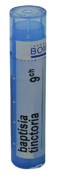 Baptisia tinctoria 9ch