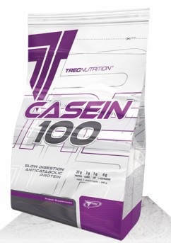 Протеин Casein 100