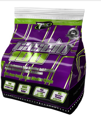 Протеин Casein 100