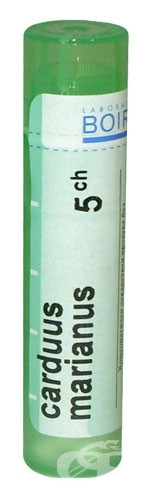 Carduus marianus 5ch