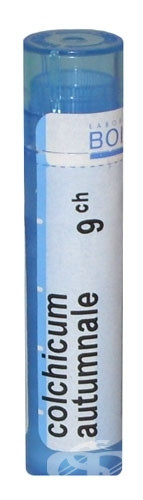 Colchicum automnale 9ch