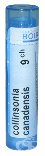 Collinsonia canadensis 9ch