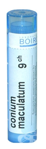 Conium maculatum 9ch