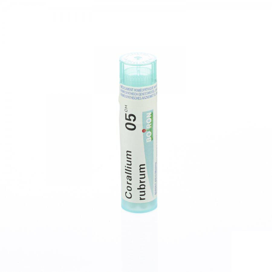 Corallium rubrum 5ch