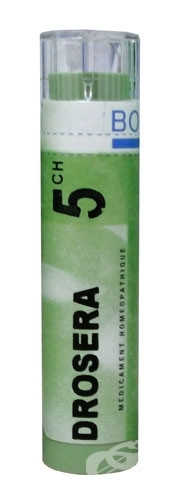Drosera 5ch