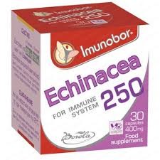 Имунобор ехинацея 250 мг.Борола