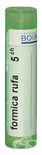 Formica rufa 5ch