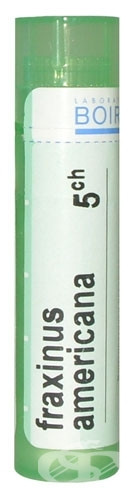 Fraxinus americana 5ch