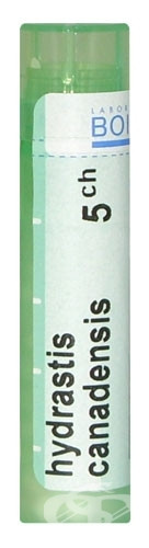 Hydrastis canadensis 5ch