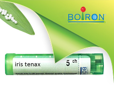 Iris tenax ch 5