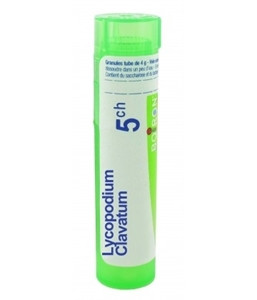 Lycopodium clavatum 5ch