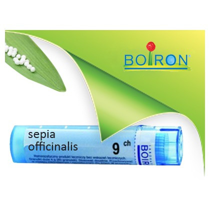 Sepia officinalis 9ch