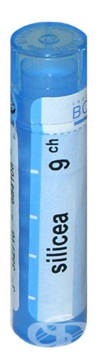 Silicea 9ch