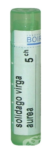 Solidago virga aurea ch 5