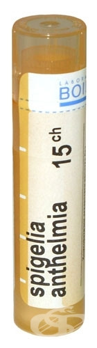 Spigelia anthelmia 15ch